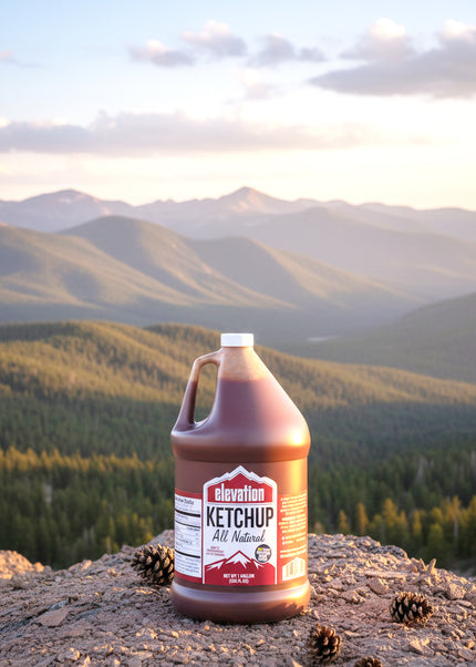 Restaurant Style Ketchup Gallon